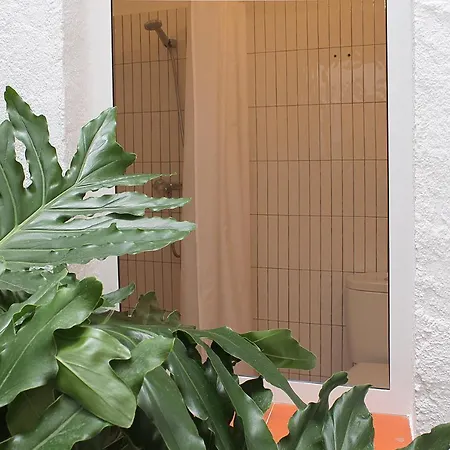 Appartement Casa Gall4 *